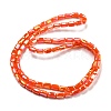 Glass Beads Strands EGLA-P052-03C-04-2