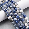 Natural Sodalite Round Bead Strands G-E334-8mm-08-5
