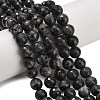 Natural Larvikite Beads Strands G-C280-B06-10mm-1