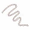 Handmade Glass Faceted Rondelle Beads Chains AJEW-PH00498-01-2
