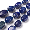 Natural Lapis Lazuli Beads Strands G-I194-27-1