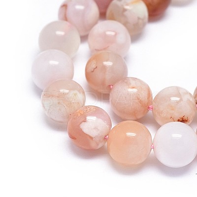 Natural Cherry Blossom Agate Beads Strands G-I249-B01-02-1