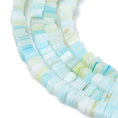 Handmade Lampwork Beads Strands LAMP-Q037-02A-06-1