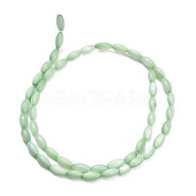 Natural Freshwater Shell Beads Strands X-SHEL-C010-01A-1