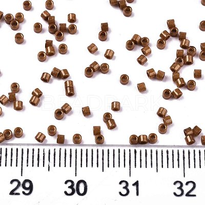 FGB 11/0 Grade A Baking Paint Glass Seed Beads X-SEED-S030-1031-1