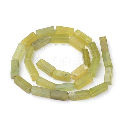 Natural Peridot Beads Strands G-Q949-003-1