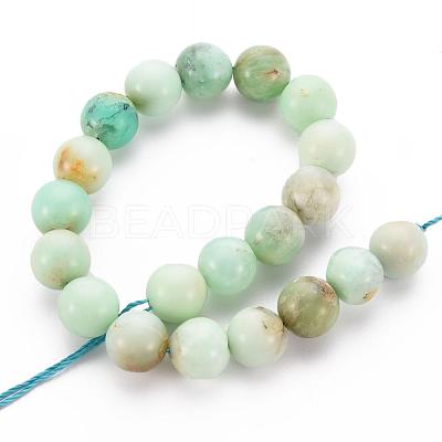 Natural Chrysoprase Beads Strands G-S333-10mm-037-1
