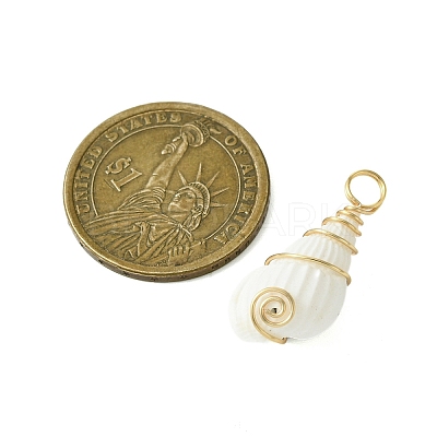 Natural Trumpet Shell Pendants PALLOY-JF02794-01-1