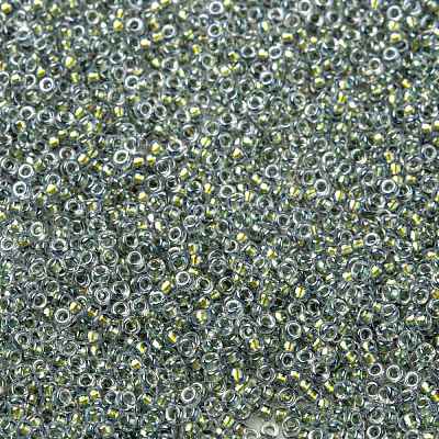 MIYUKI Round Rocailles Beads X-SEED-G009-RR3201-1