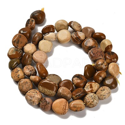 Natural Picture Jasper Beads Strands G-P497-01E-59-1