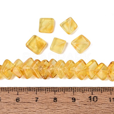 Natural Amber Beads Strands G-N371-12A-01-1