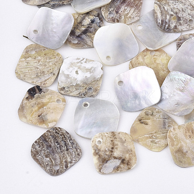 Natural Akoya Shell Charms SHEL-T012-38-1