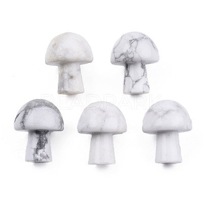 Natural Howlite G-N0325-02Y-1