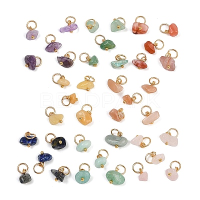 40Pcs 8 Styles Natural Rose Quartz & Amethyst & Lapis Lazuli & Amazonite & Red Agate & Green Aventurine & Sunstone & Topaz Jade Chip Charms PALLOY-JF04211-02-1