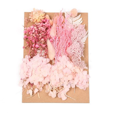 Dried Flower DIY-B018-12-1