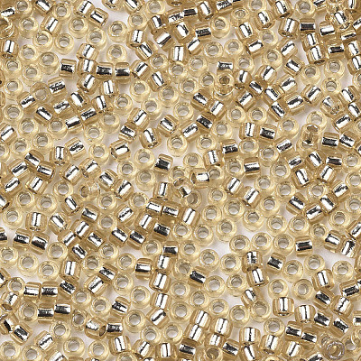 Glass Seed Beads X1-SEED-S042-04A-05-1