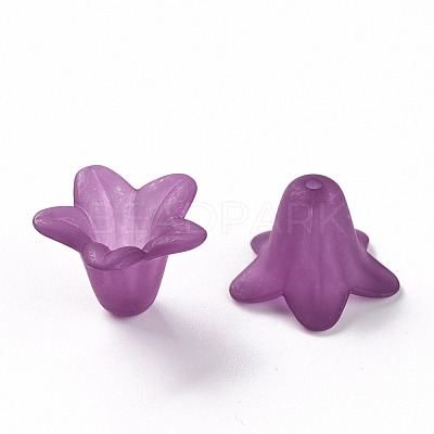 Transparent Acrylic Beads PLF018-16-1