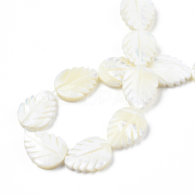 Natural Trochid Shell/Trochus Shell Beads Strands SSHEL-N034-136A-01-1