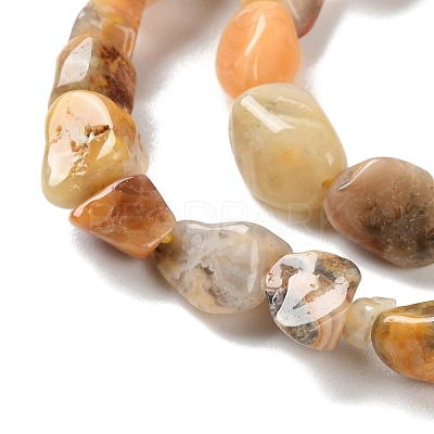 Natural Crazy Agate Beads Strands G-P497-01C-08-1