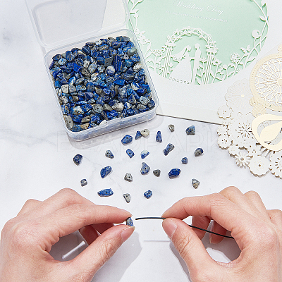 Natural Lapis Lazuli Chip Beads G-CJ0001-25-1