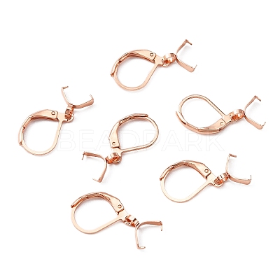304 Stainless Steel Leverback Earring Findings STAS-WH0031-19RG-1