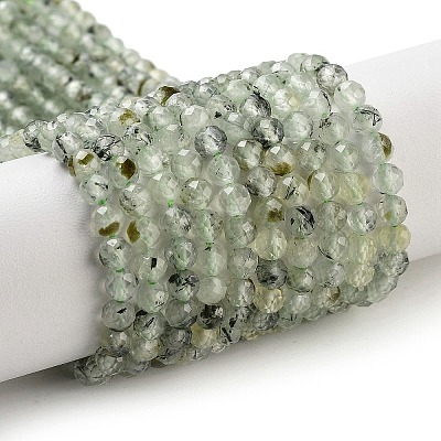 Natural Prehnite Beads Strands G-G140-A19-03-1