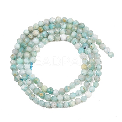 Natural Amazonite Bead Strands G-P279-42-3mm-1