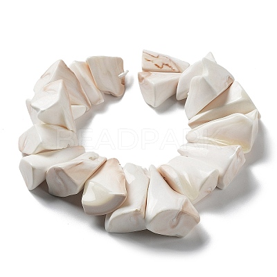 Natural Shell Beads Strands BSHE-M034-02-1