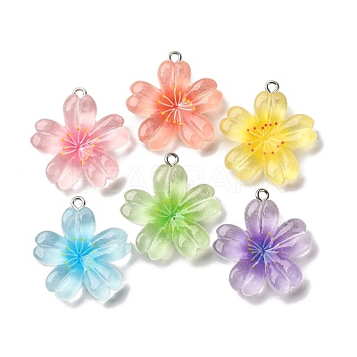 Transparent Resin Pendants RESI-A046-05B-1