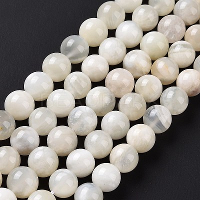 Natural White Moonstone Beads Strands G-F674-08-10mm-01-1