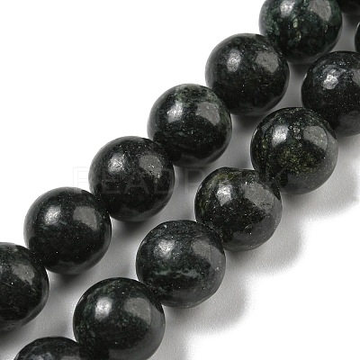 Natural Serpentine Beads Strands G-P504-10mm-01-1