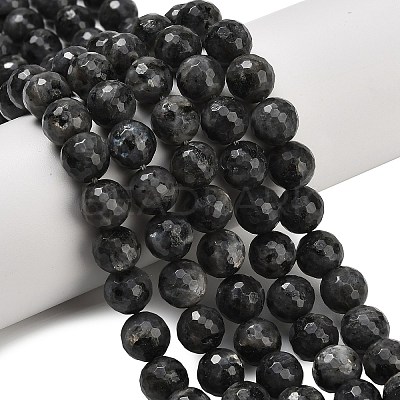 Natural Larvikite Beads Strands G-C280-B06-10mm-1