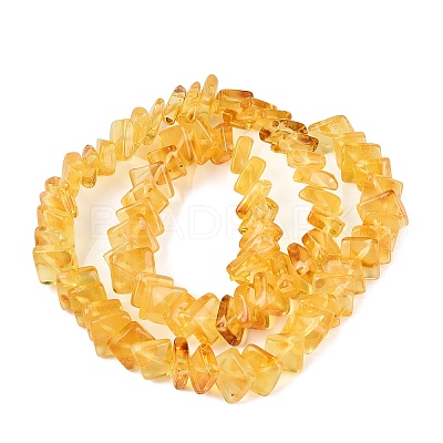 Natural Amber Beads Strands G-N371-12A-01-1