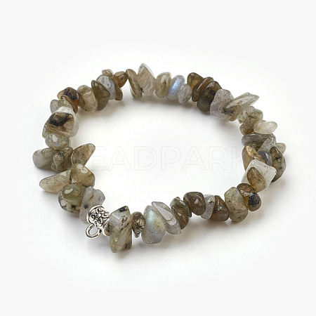 Natural Labradorite Beads Stretch Bracelets BJEW-JB03860-08-1