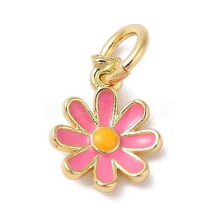 Brass Enamel Charms KK-L216-006G-05-1