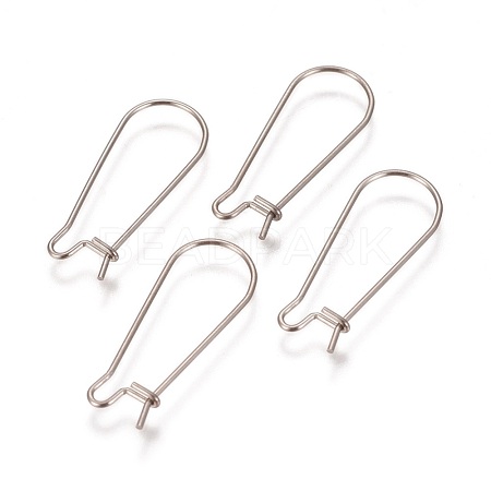 Tarnish Resistant 304 Stainless Steel Hoop Earrings Findings Kidney Ear Wires STAS-L216-22B-P-1