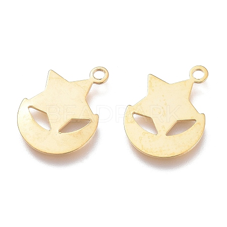 201 Stainless Steel Charms STAS-K212-11G-1