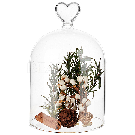 Heart Arch Glass Dome Cover DIY-WH0933-20C-1