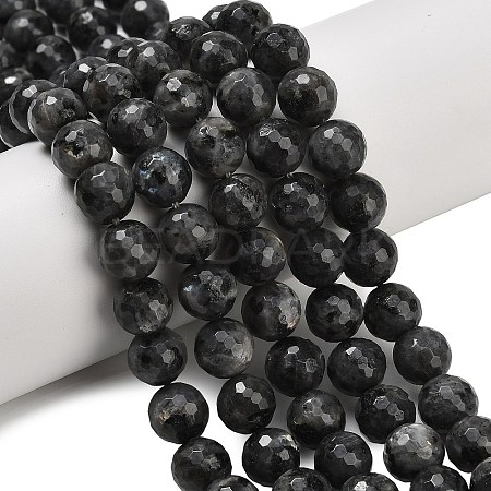 Natural Larvikite Beads Strands G-C280-B06-10mm-1