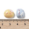 Opaque Resin Decoden Cabochons RESI-K035-04-3