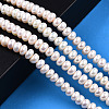 Natural Cultured Freshwater Pearl Beads Strands PEAR-N015-07B-2