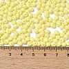 6/0 Opaque Baking Paint Glass Seed Beads SEED-M012-02A-19-4