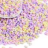 Glass Seed Beads SEED-K010-03F-1