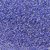 MIYUKI Delica Beads X-SEED-J020-DB0243-1