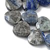 Natural Lapis Lazuli Beads Strands G-A309-A07-01-3