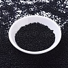 MIYUKI Round Rocailles Beads SEED-G007-RR0401-2