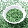 MIYUKI Delica Beads Small X-SEED-J020-DBS0163-2