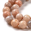 Round Natural Multi-Moonstone Beads Strands G-I176-09-10mm-3