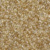 Glass Seed Beads SEED-US0003-3mm-102-2