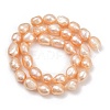 Natural Cultured Freshwater Pearl Beads Strands PEAR-P064-20K-04C-01-3